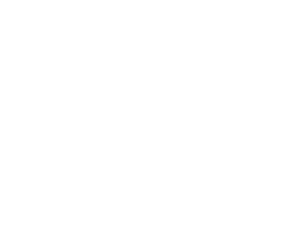 Alfred Fliesen Logo